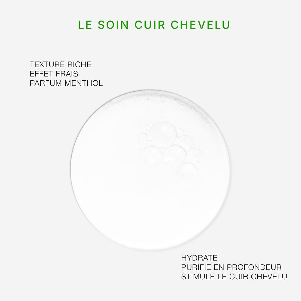 SOIN ANTI - PELLICULAIRE & ANTI - DÉMANGEAISON - DAMERET