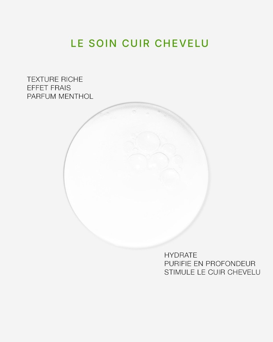 SOIN ANTI PELLICULAIRE ET OU ANTI DEMANGEAISON (2X400ml) - DAMERET
