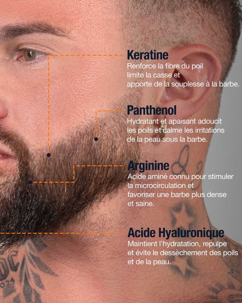 ROUTINE BARBE COURTE - DAMERET